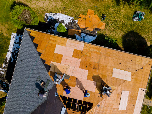 Best Roof Restoration Services  in Terre Du Lac, MO